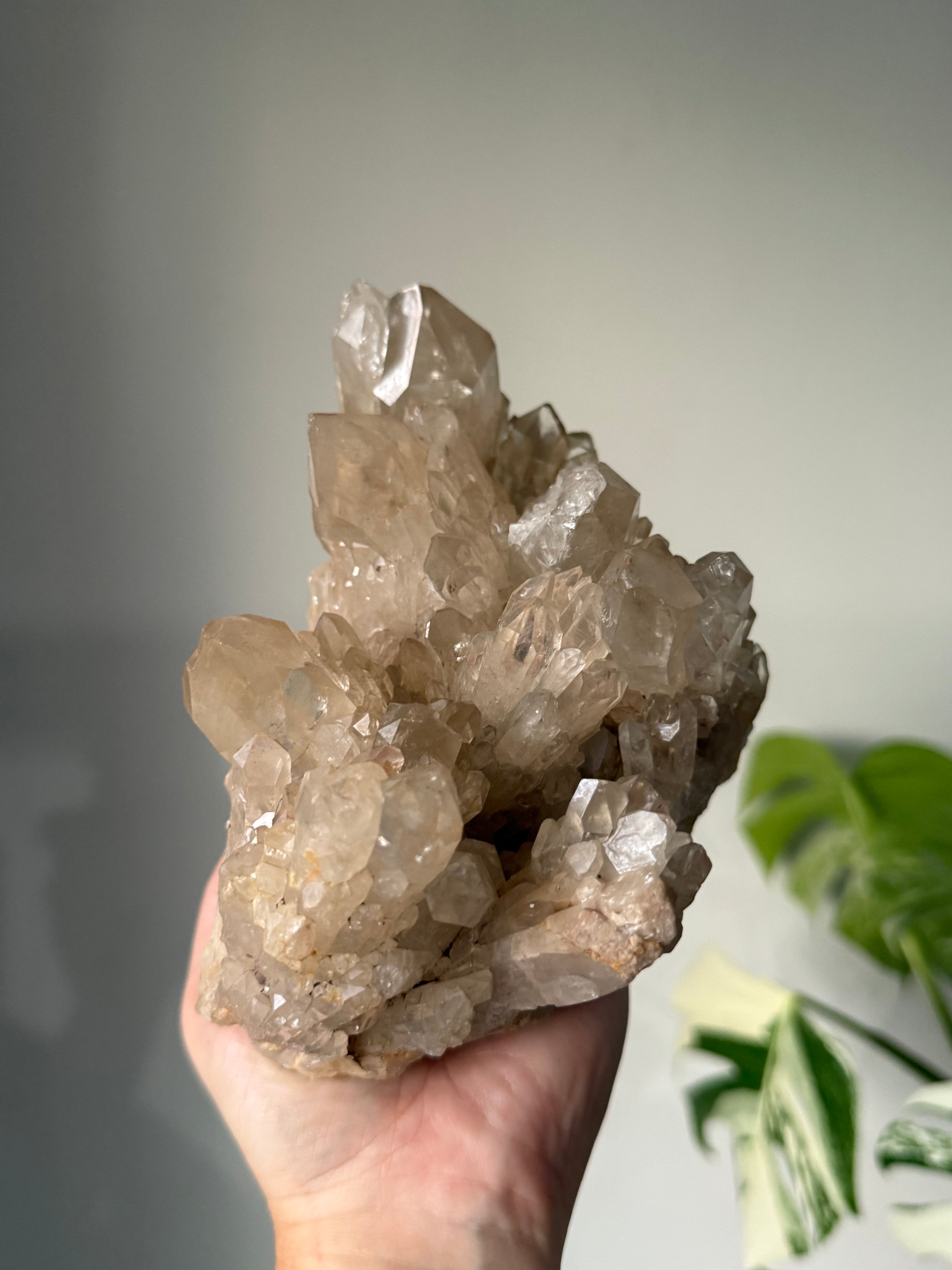 Natural Citrine Crystal Cluster – Authentic African Citrine (Untreated)